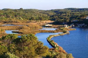 Zona húmeda detrás de la playa en la que habitan gran variedad de vida marina no-movil