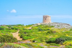 Se puede ver la torre vigía de Punta Prima y acceder a sus alrededores no-movil