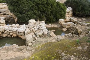 Charcas y agujeros de Torralba d'en Salord no-movil