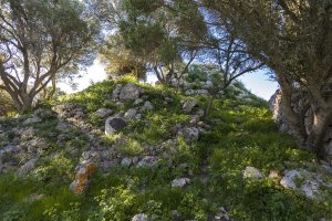 Alrededores del recinto de Torrellafuda no-movil
