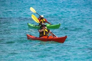 Excursions i rutes en Kayak no-movil