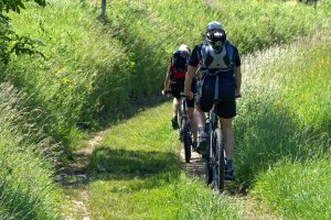Hacer ciclismo y excursiones con bicicleta es una de las actividades mas demandadas en Menorca no-movil