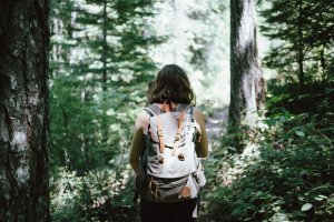 El senderismo es una de las actividades que atraen a más visitantes en las temporadas otoñales. no-movil