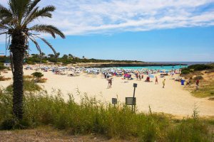 Perspectiva de la playa de Cala en Bosch desde detrás. no-movil