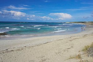 En Son Bou podemos encontrar durante los meses de verano, a mucha gente recorriendo esta playa no-movil