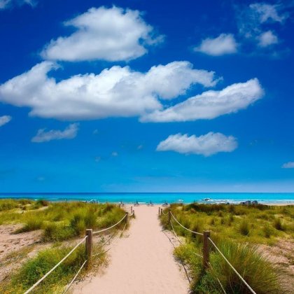 Playa de Son Bou en un día de Verano
