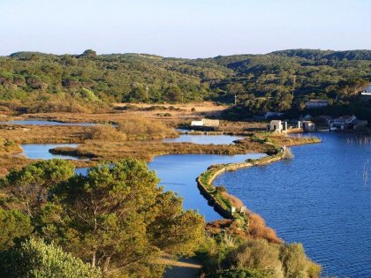 La Albufera de Es Grau