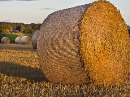 Balas de paja típicas en Menorca